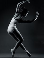 model_561.jpg