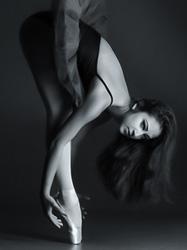 model_586.jpg